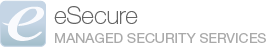 eSecure Managed IT Security Services logo